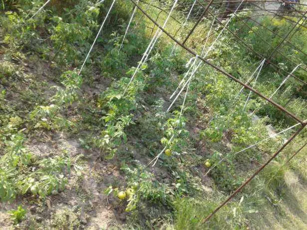 Гарна ділянка, район Автоагрегатного заводу.