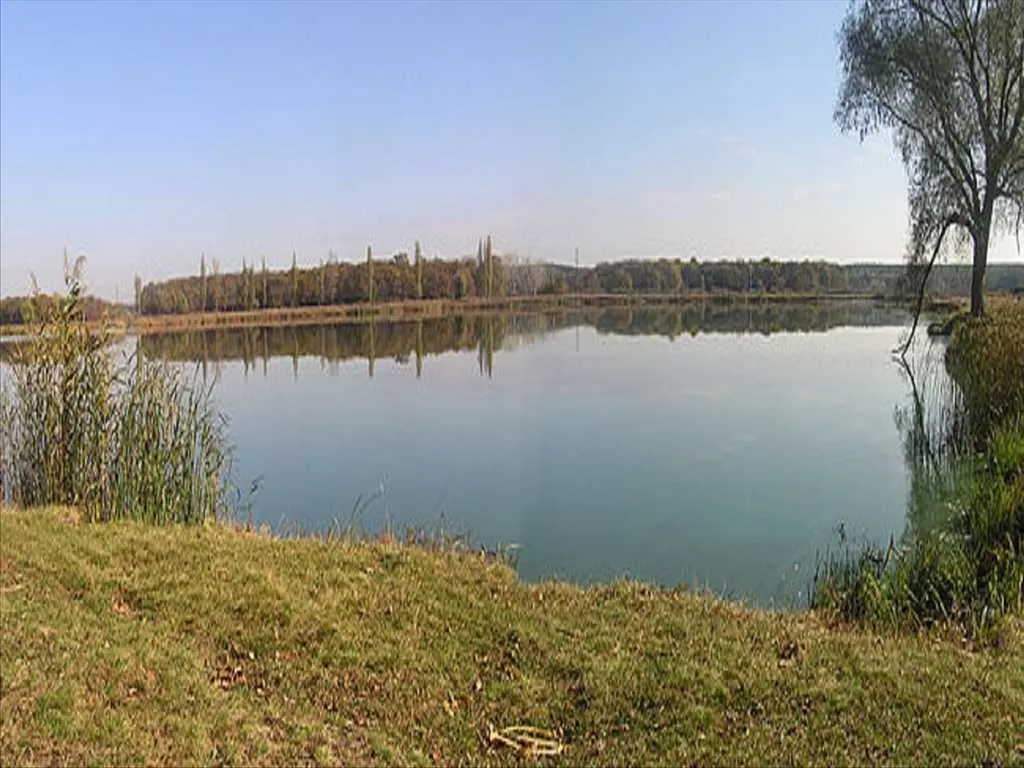 Ділянка в Ліску