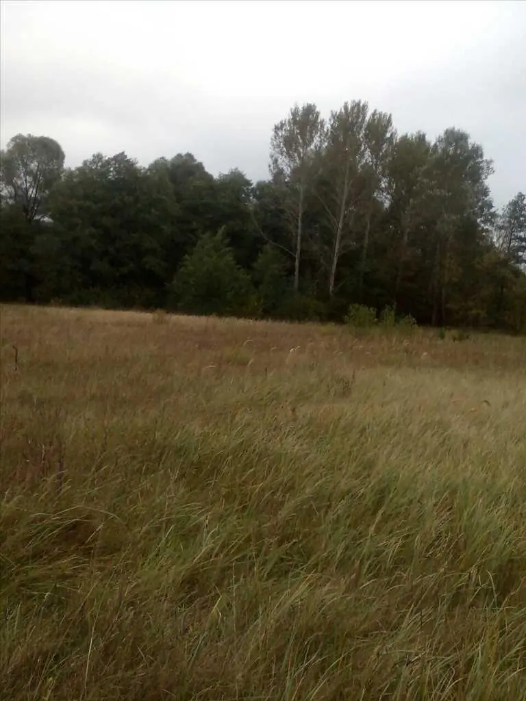 Вакуленці. Подається рівна земельна ділянка