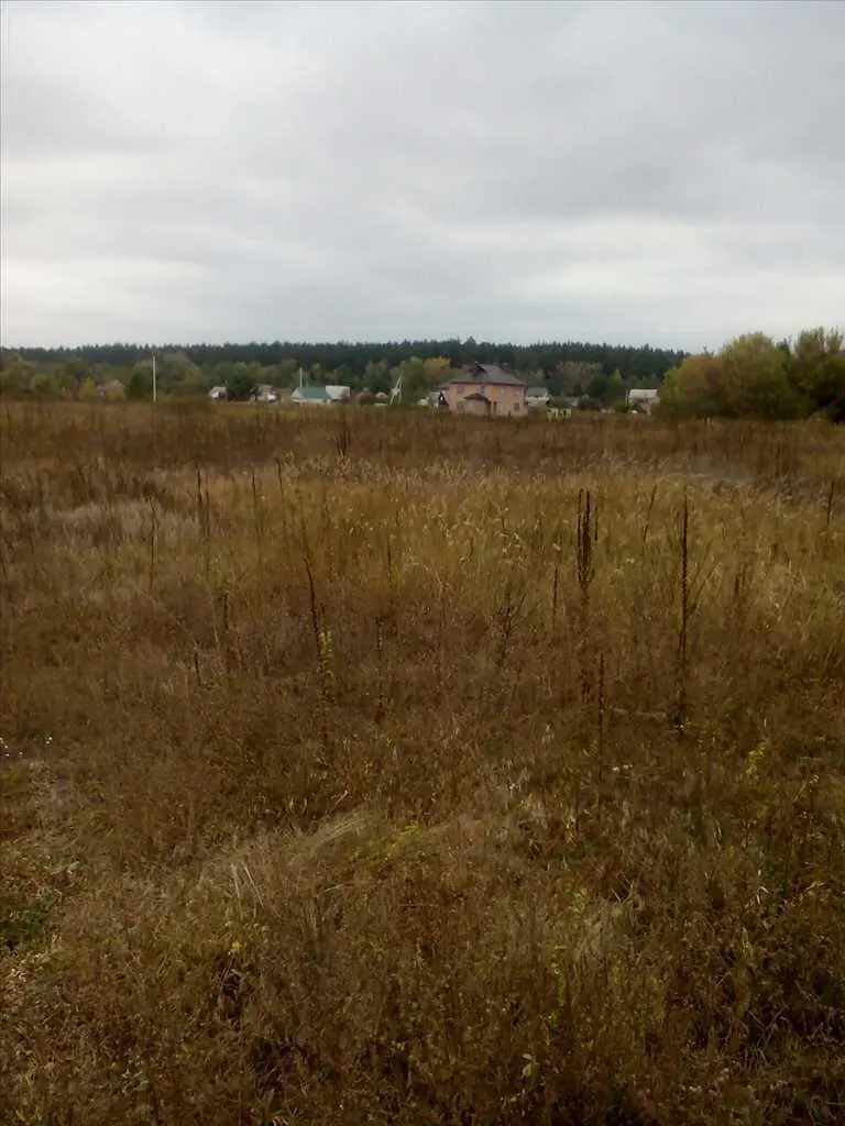 Вакуленці. Подається рівна земельна ділянка