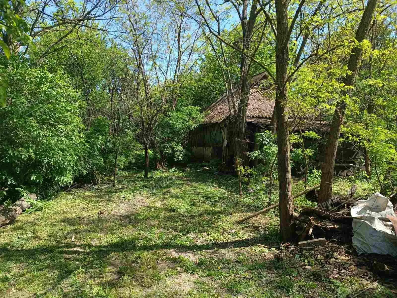  Мачухи. Участок в селе. 