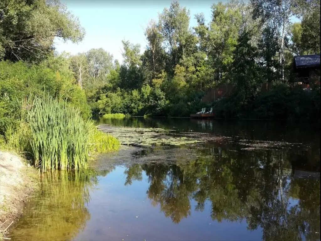 Ділянка в Петрівці 200м до річки! 