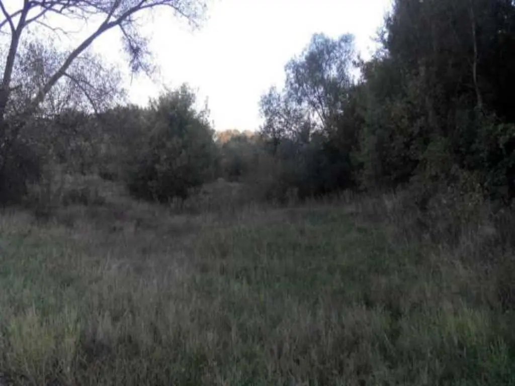 Приватизована земельна ділянка на березі Ворскли