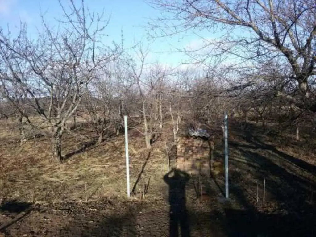 Земельна ділянка з комунікаціями в Мачухах! 