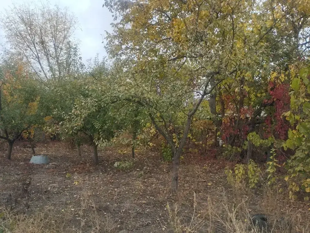 Земельна ділянка під дачу на Браїлках! 