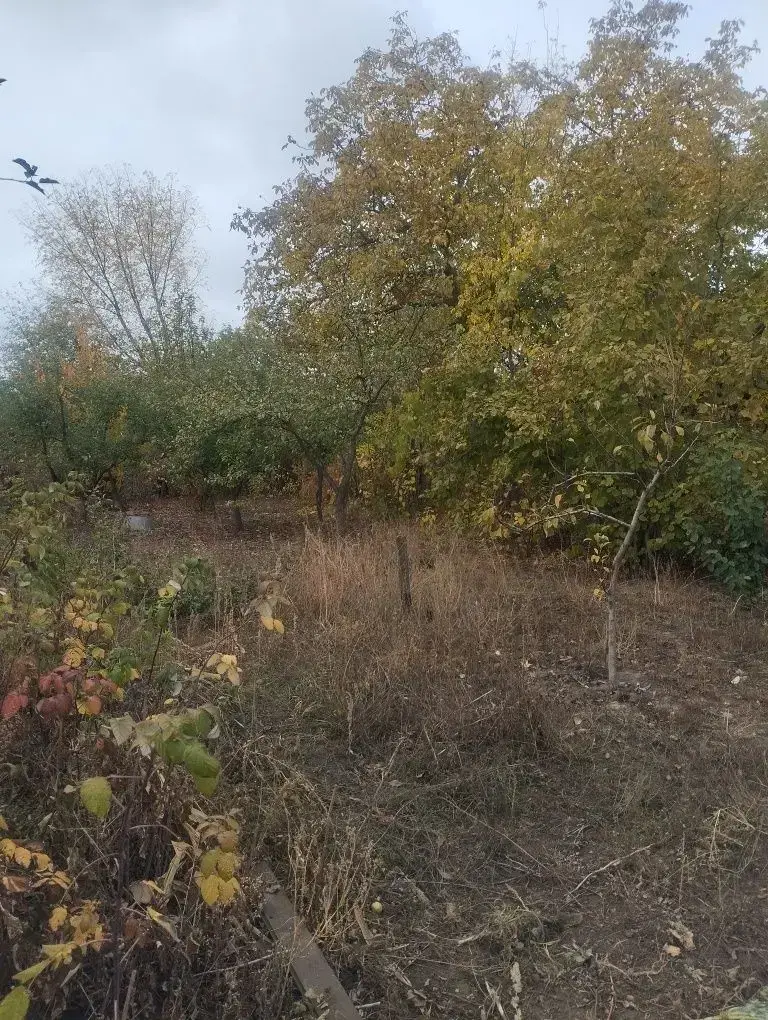 Земельна ділянка під дачу на Браїлках! 