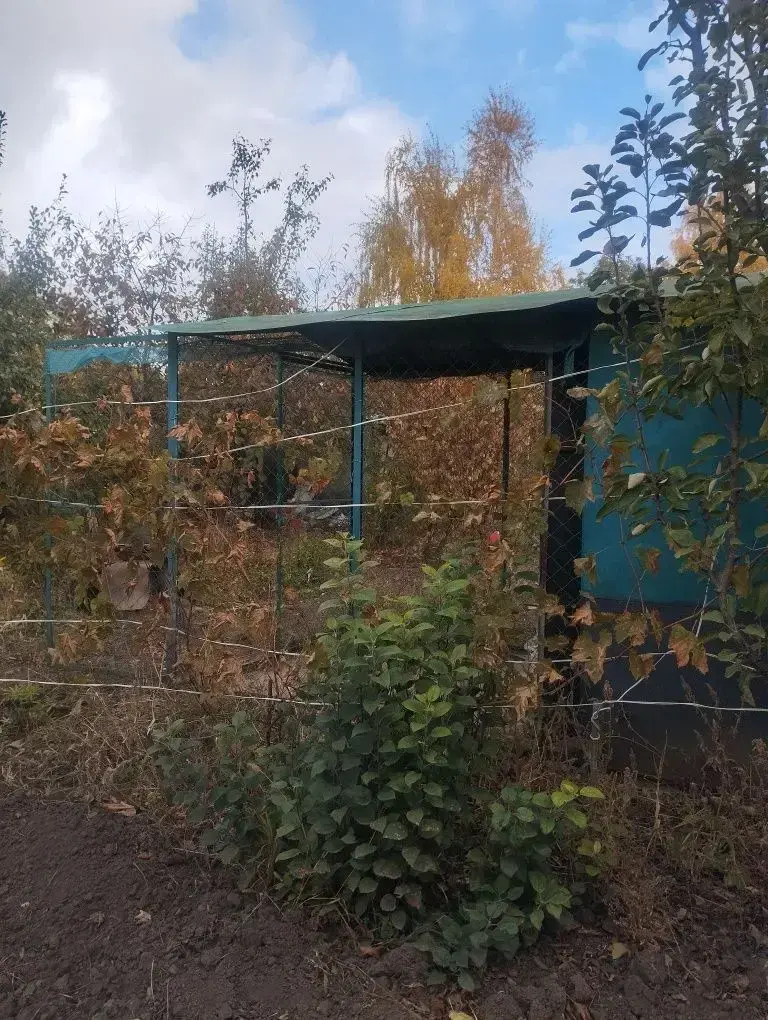 Земельна ділянка під дачу на Браїлках! 