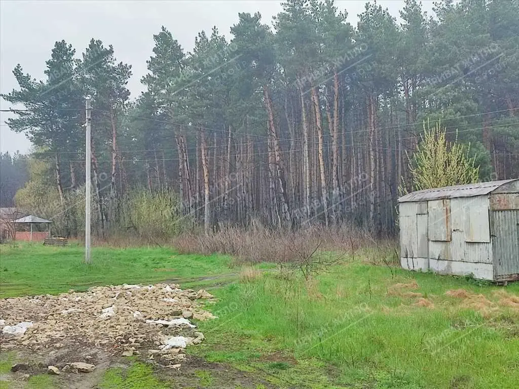 Земельна ділянка з виходом до соснового лісу. 