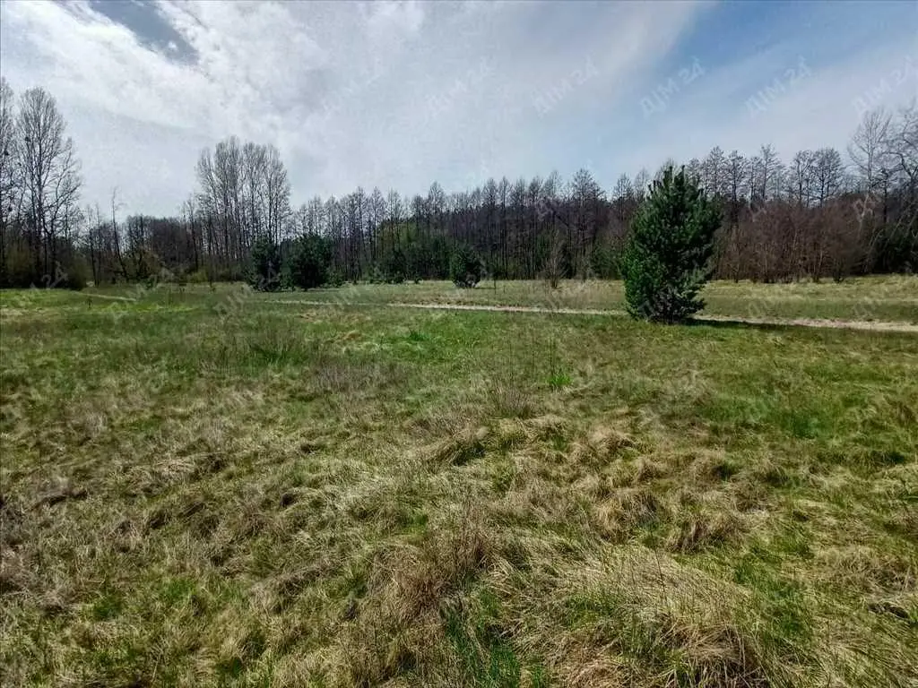 Земельна ділянка в межах міста поряд з лісом!