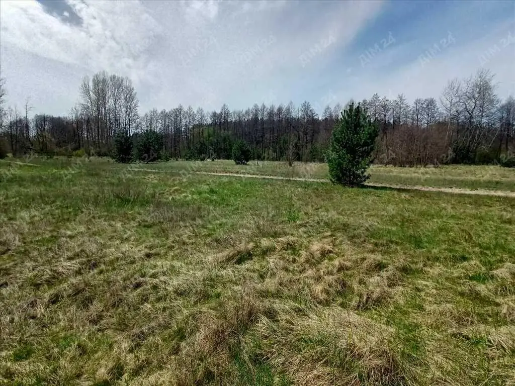 Земельна ділянка в межах міста поряд з лісом!