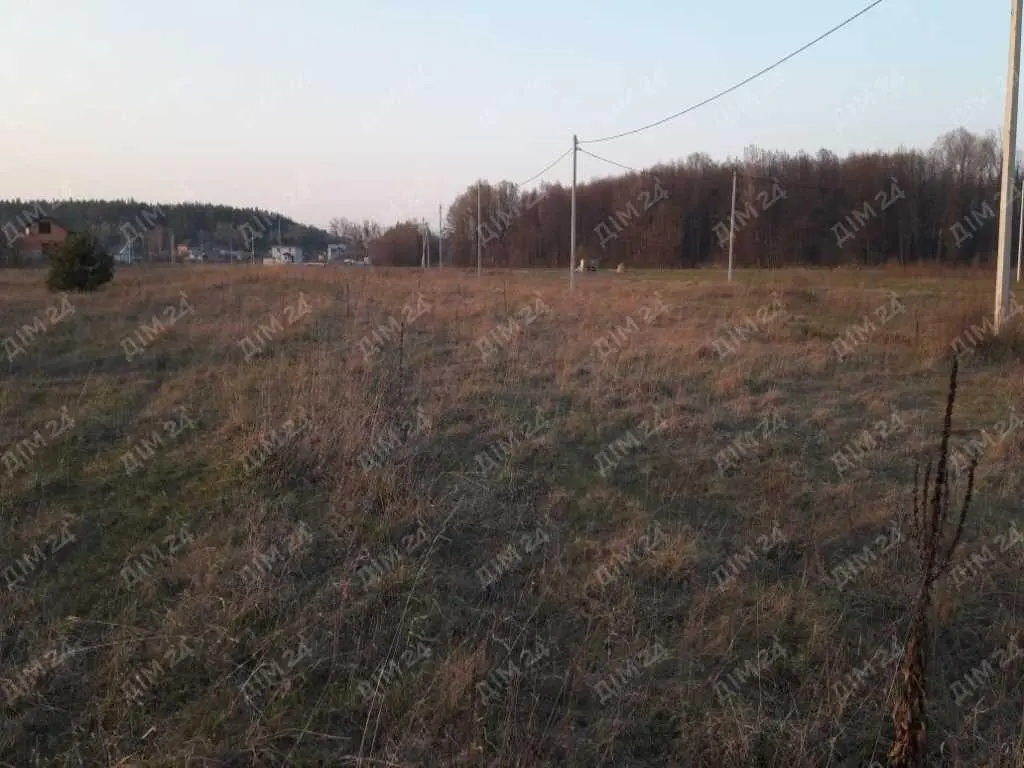 Земельна ділянка в межах міста поряд з лісом!