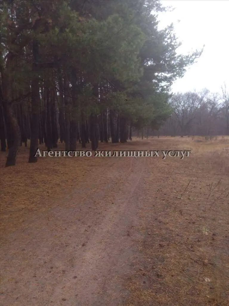 Рівна ділянка в класному місці!