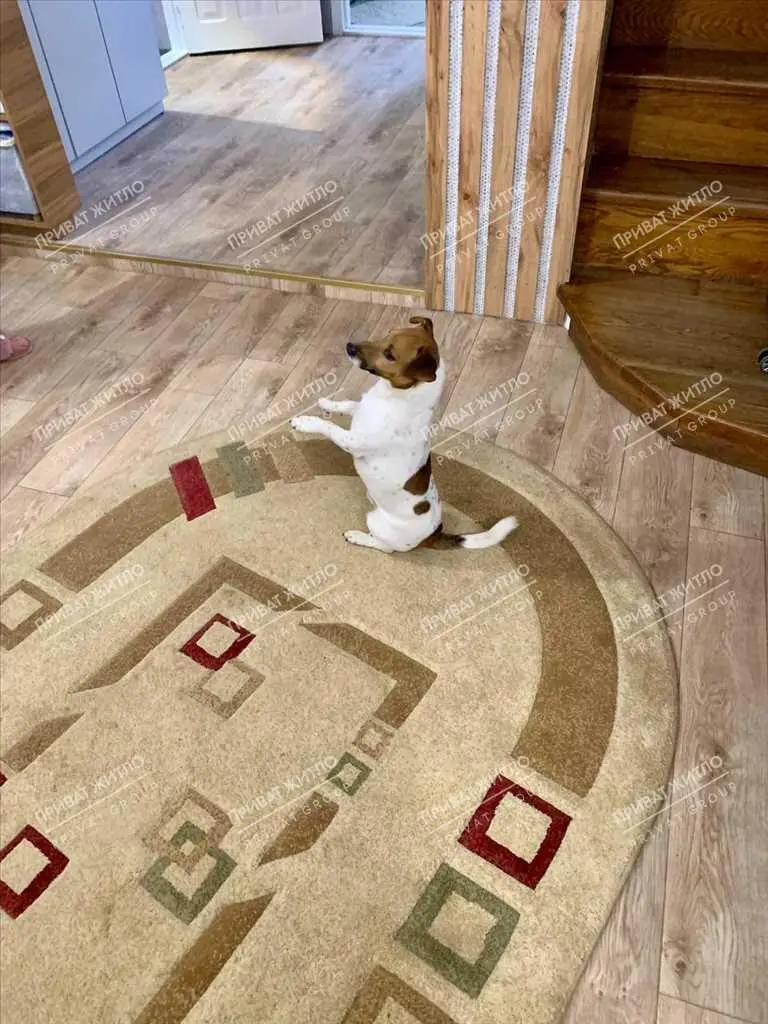 До вашої уваги дуже гарний будинок в Яру