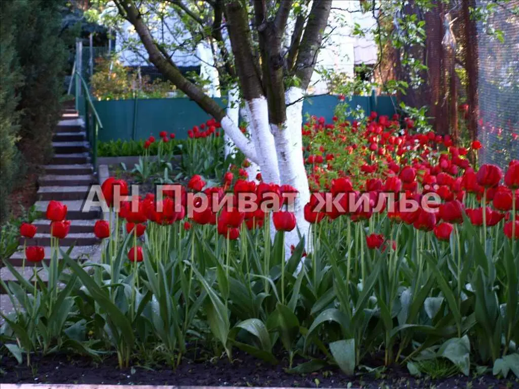 Будинок 230м.кв.у центральній частині міста.