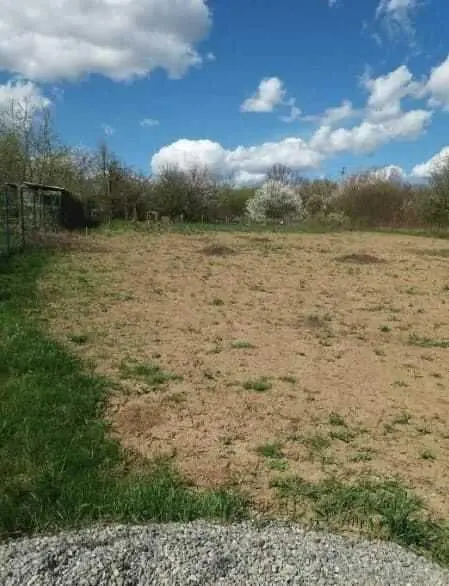 Велика ділянка в Мачухах!