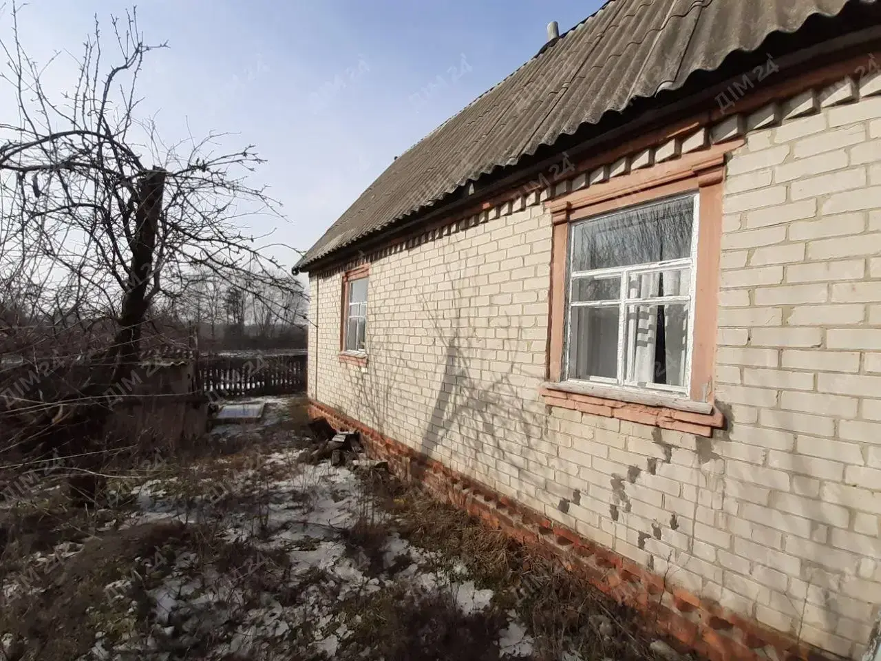 с. Дубина. Будинок в оточенні соснового лісу. 