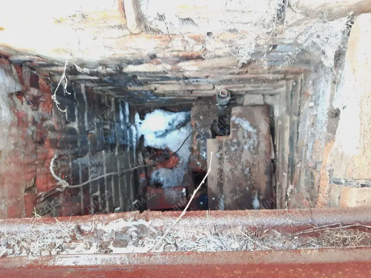 с. Дубина. Будинок в оточенні соснового лісу. 