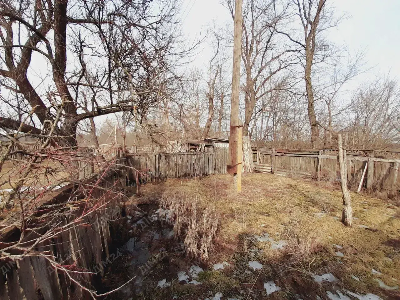 с. Дубина. Будинок в оточенні соснового лісу. 