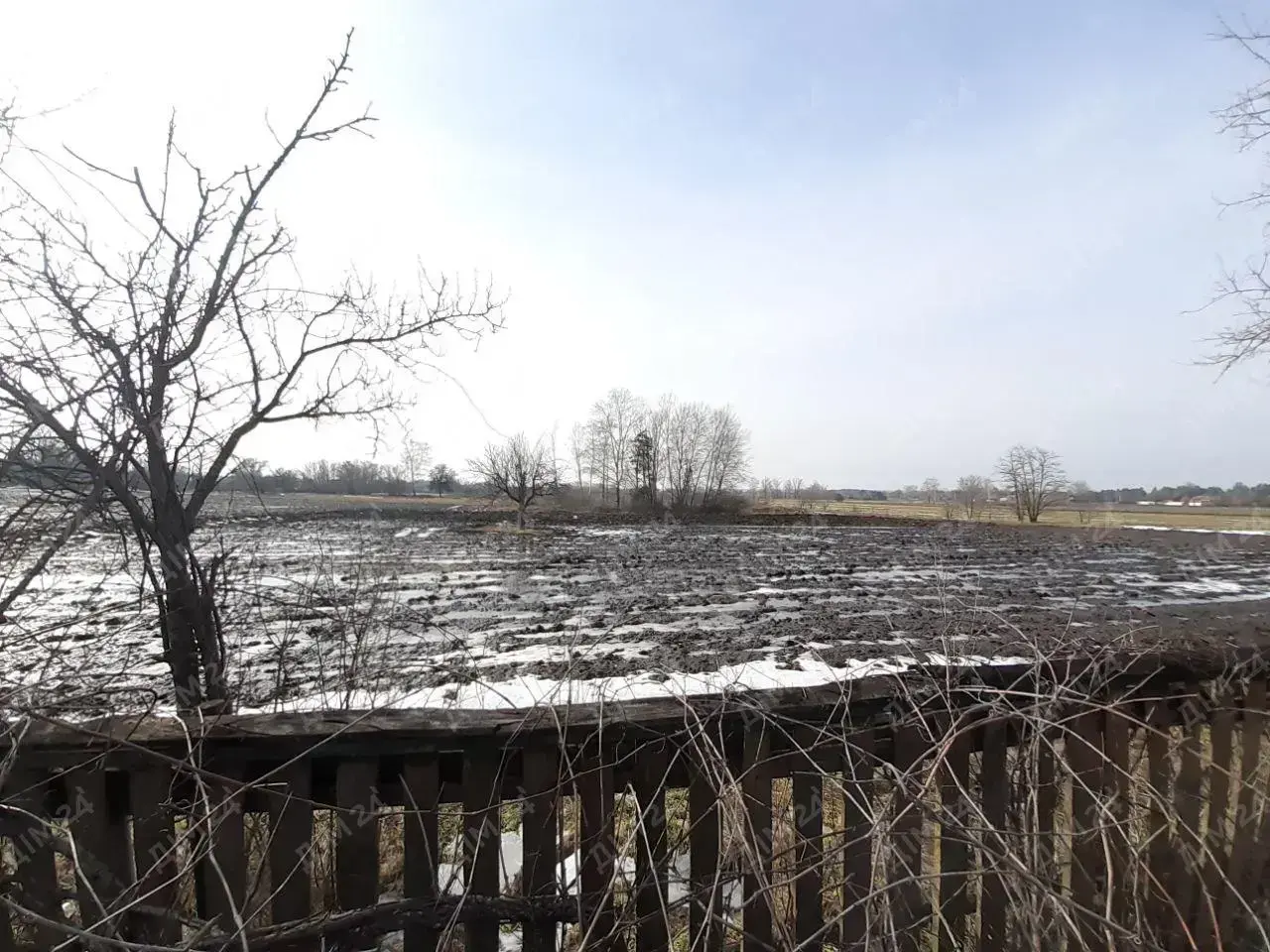 с. Дубина. Будинок в оточенні соснового лісу. 