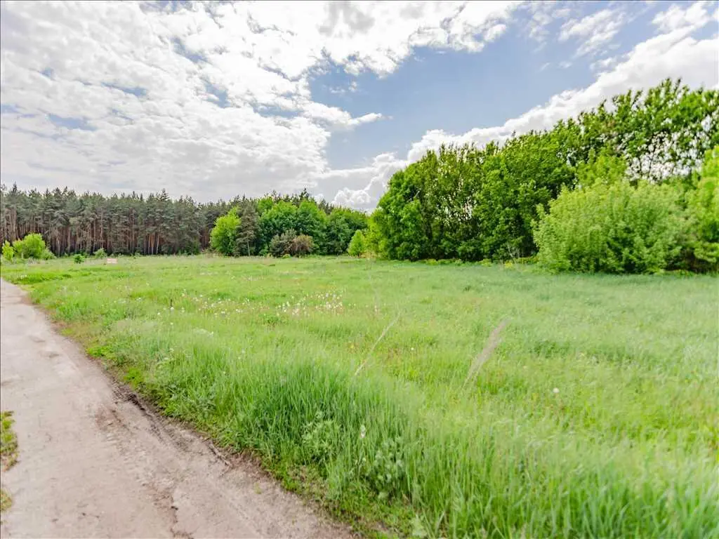 Пропонуємо відмінну ділянку на самому в`їзді до Верхоли