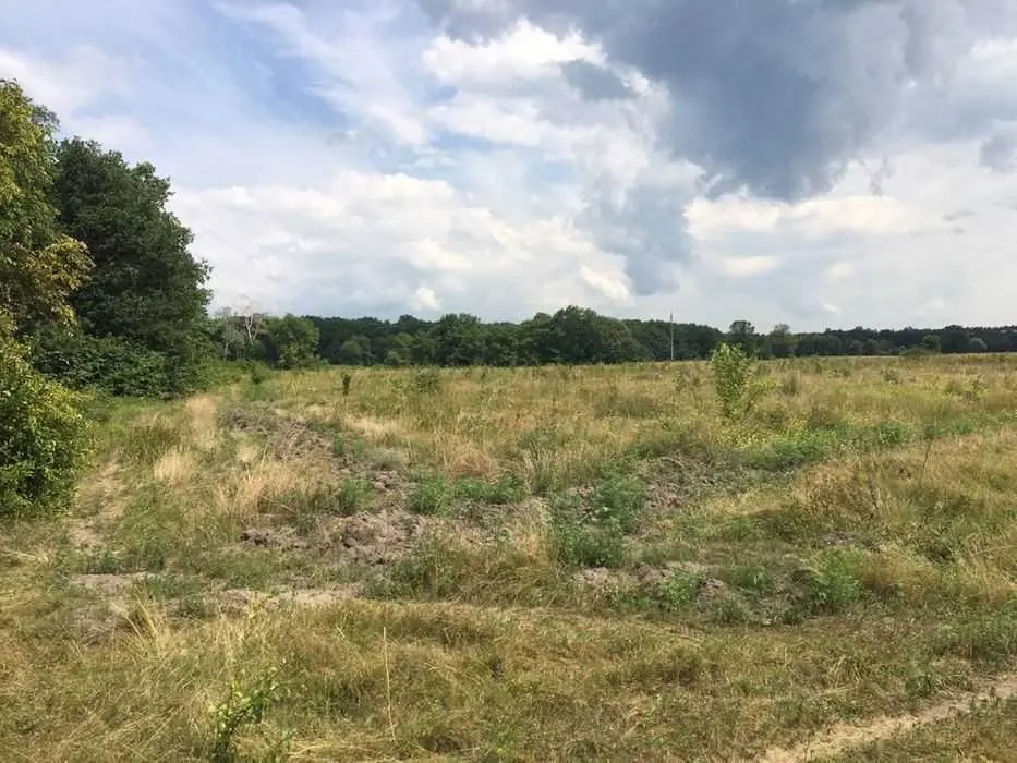 Ділянка для будівництва у с. Залізничне