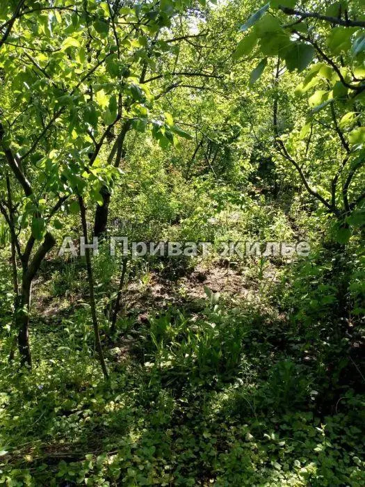 Добротний будинок у Яківцях