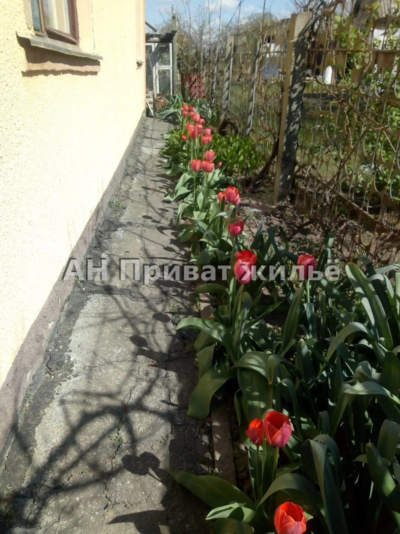 Добротний будинок у Яківцях