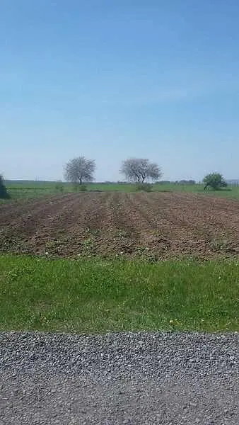 Земельна ділянка в Гожулах