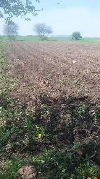 Земельна ділянка в Гожулах