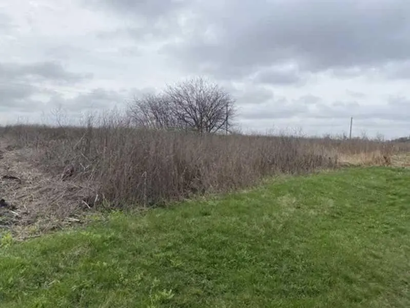 Вигідна пропозиція!Земельна ділянка в Івонченцях.