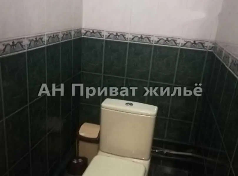 Просторий будинок у передмісті Полтави