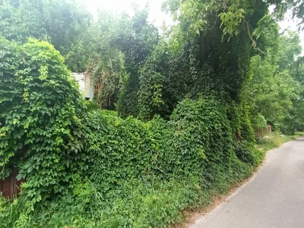 Продається ділянка в екологічно чистому районі міста