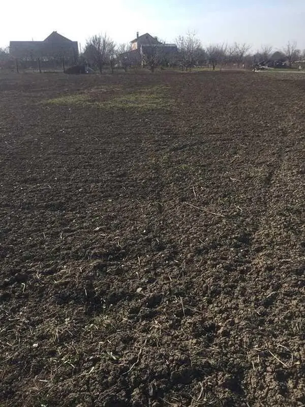 Участок 15 соток в Супруновке!