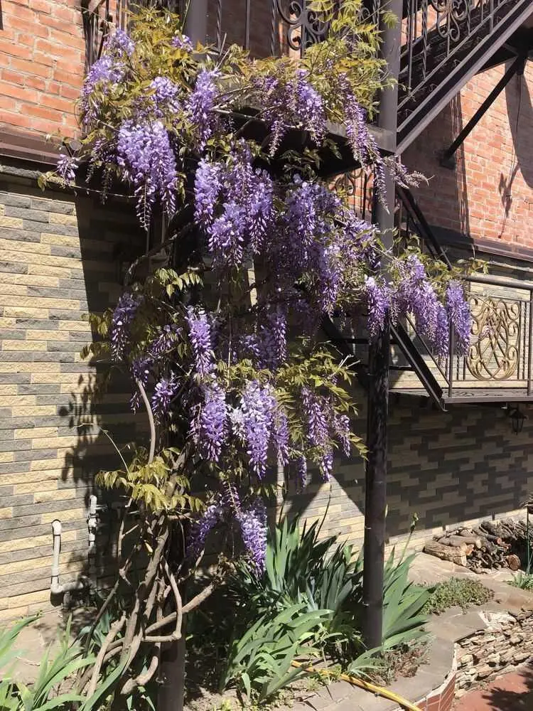 Отдельностоящий дом в центральной части города