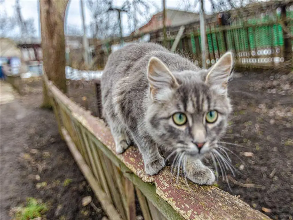 Частина будинку з окремим двором у мікрорайоні Половки