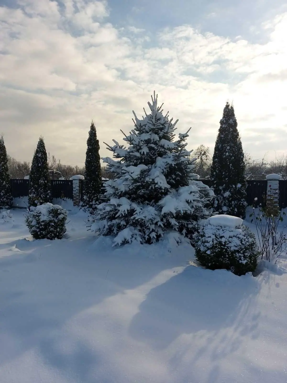 Чудова усадьба в Петрівці