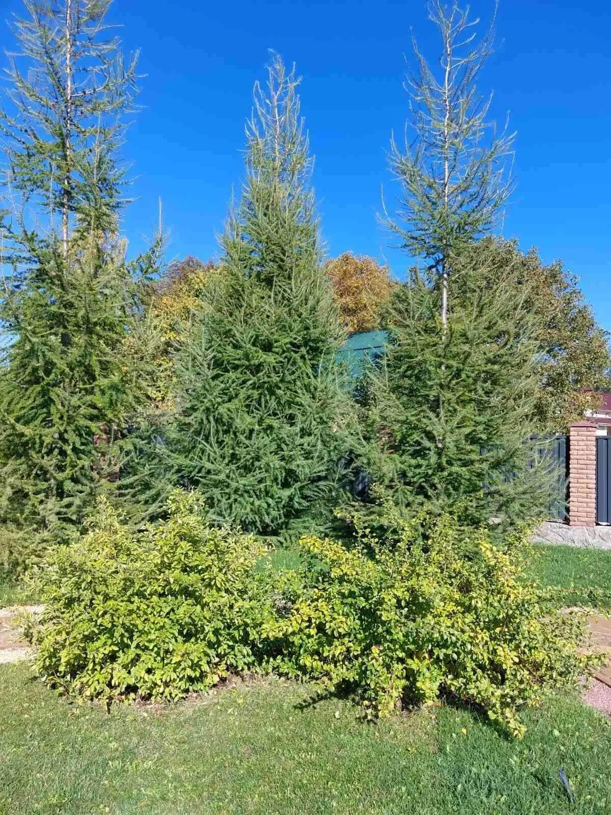 Чудова усадьба в Петрівці