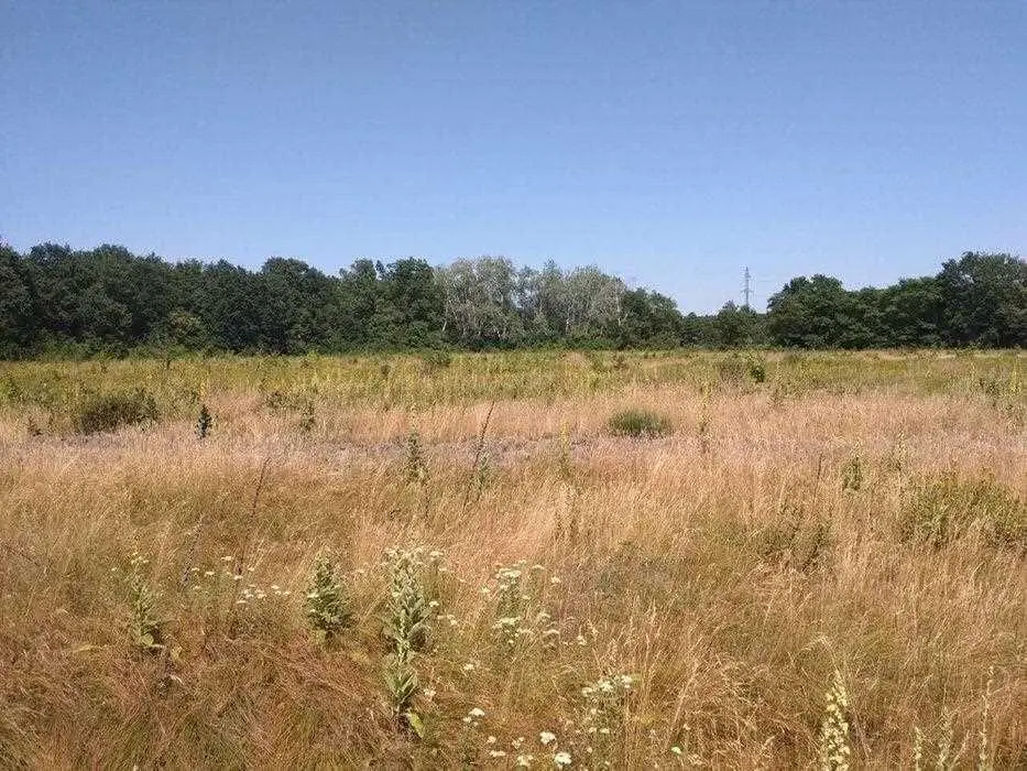 Супрунівка, центральна вулиця, ділянка під забудову! 