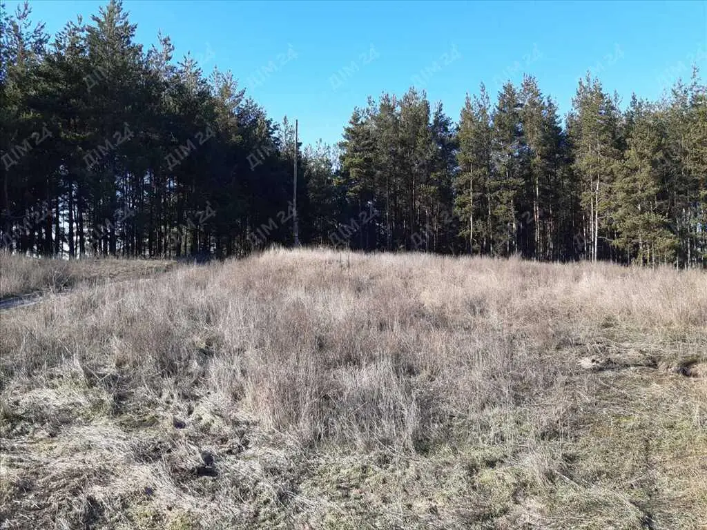 Будинок у сосновому лісі! Ватажково.