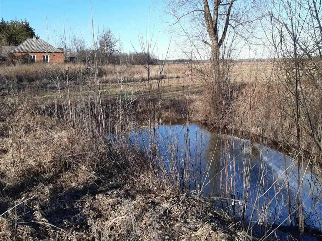 Будинок у сосновому лісі! Ватажково.