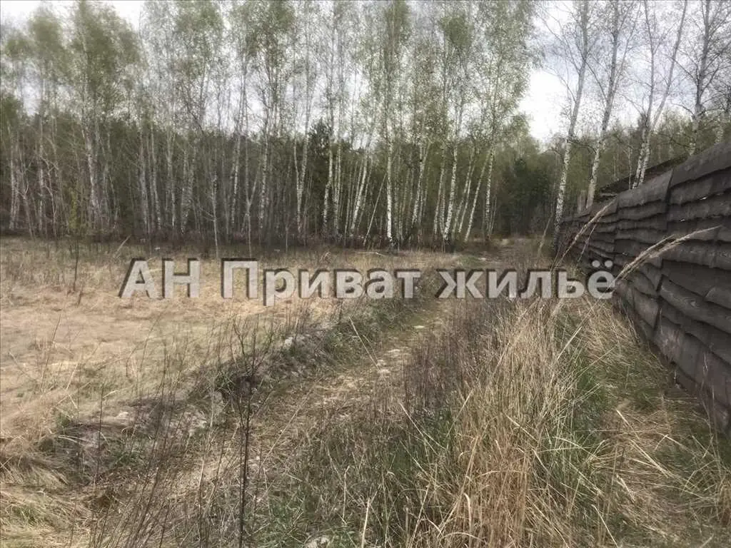 Мальовнича земельна ділянка поруч з сосновим лісом.