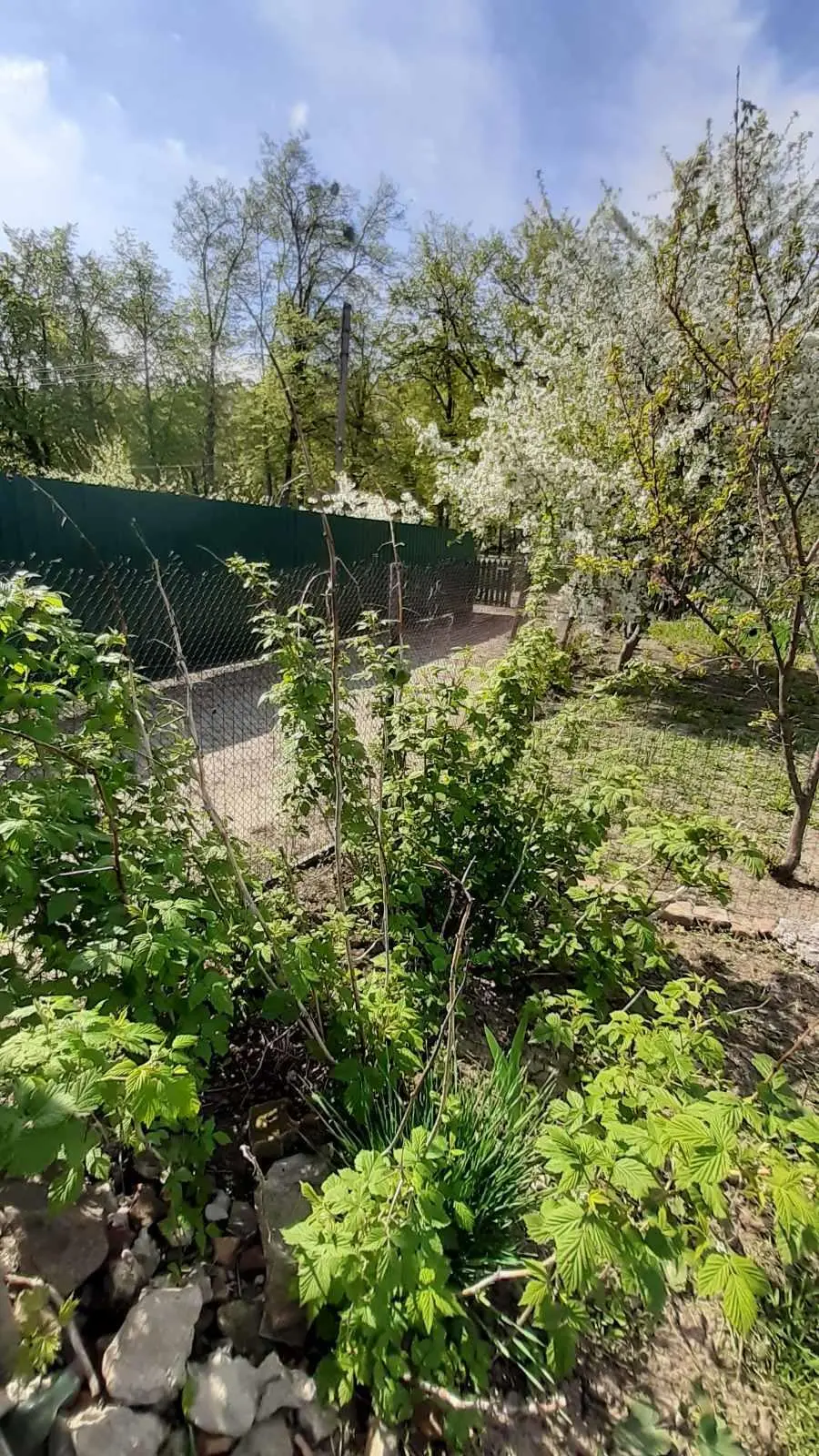 Шукаєте житло у районі Конкорду!