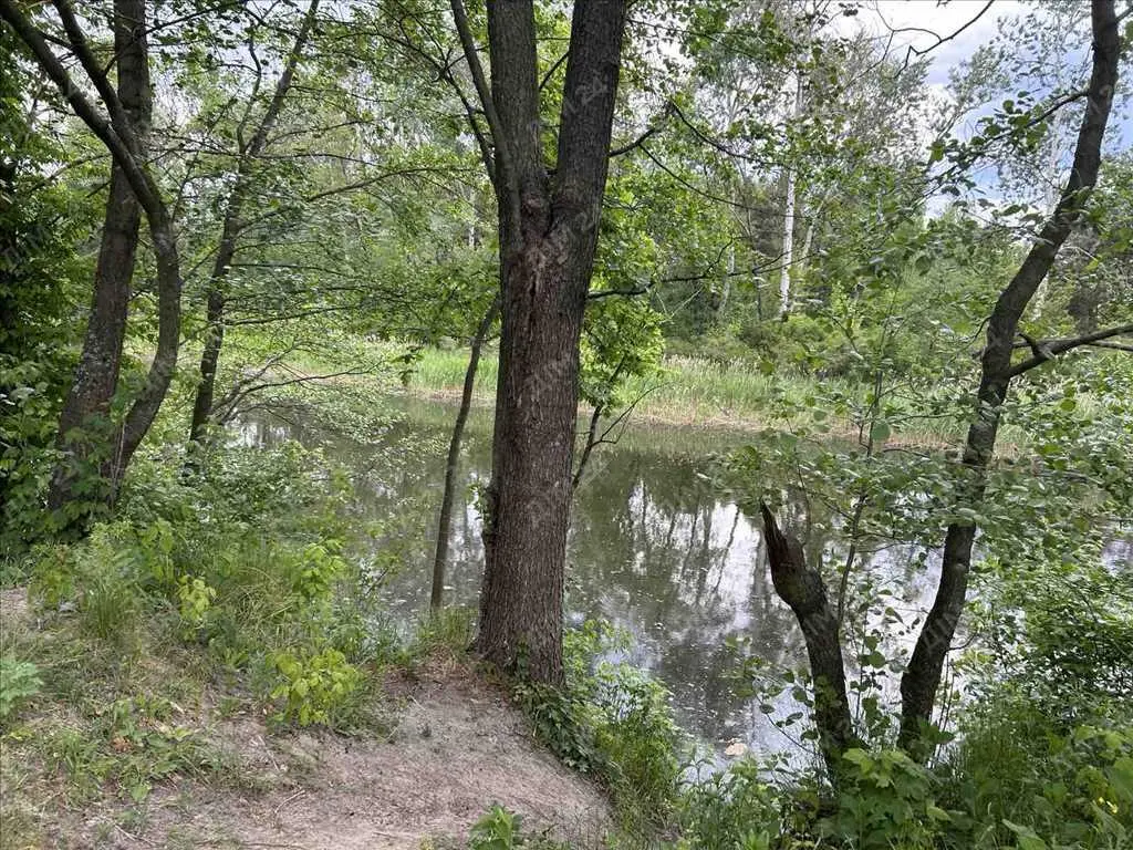 Ділянка на Вороніна, 12 соток, перша лінія від річки.