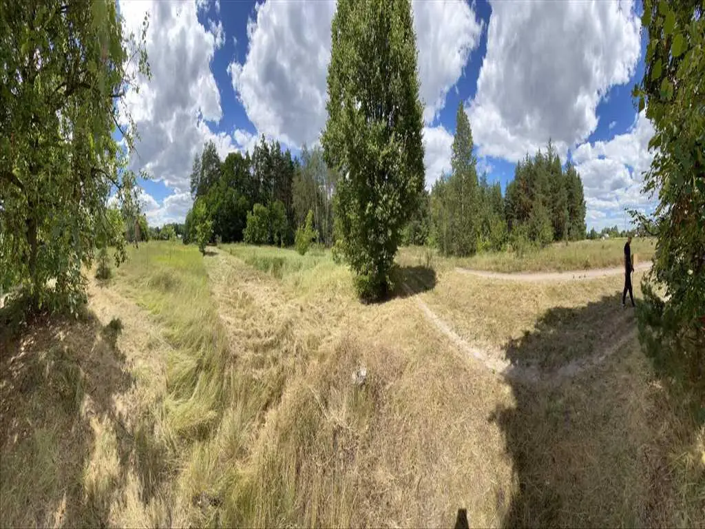 Ділянка в сосоновому лісі!