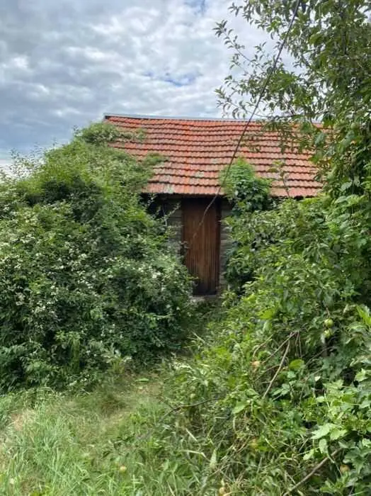 Добротний будинок в живописному місці.