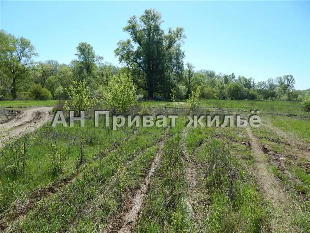  Ділянка на околиці Нижніх Млинів по дорозі на базу Сенегал