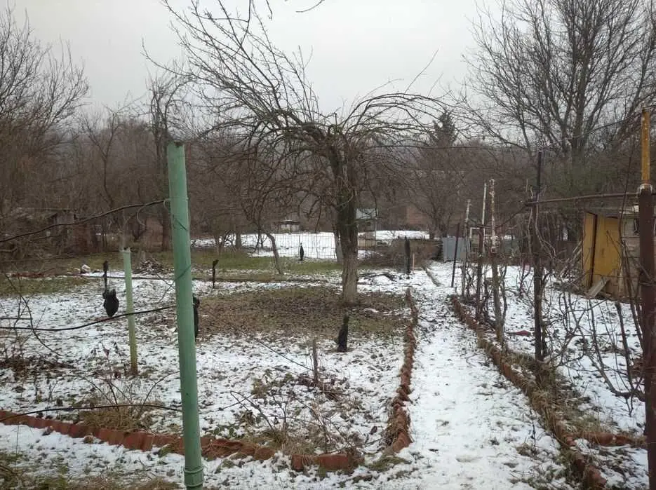 Дві земельні ділянки за ціною однієї