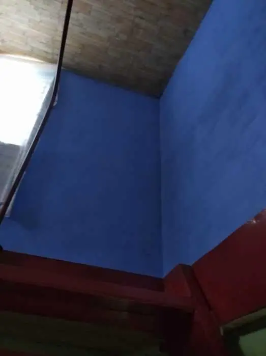 Дві земельні ділянки за ціною однієї