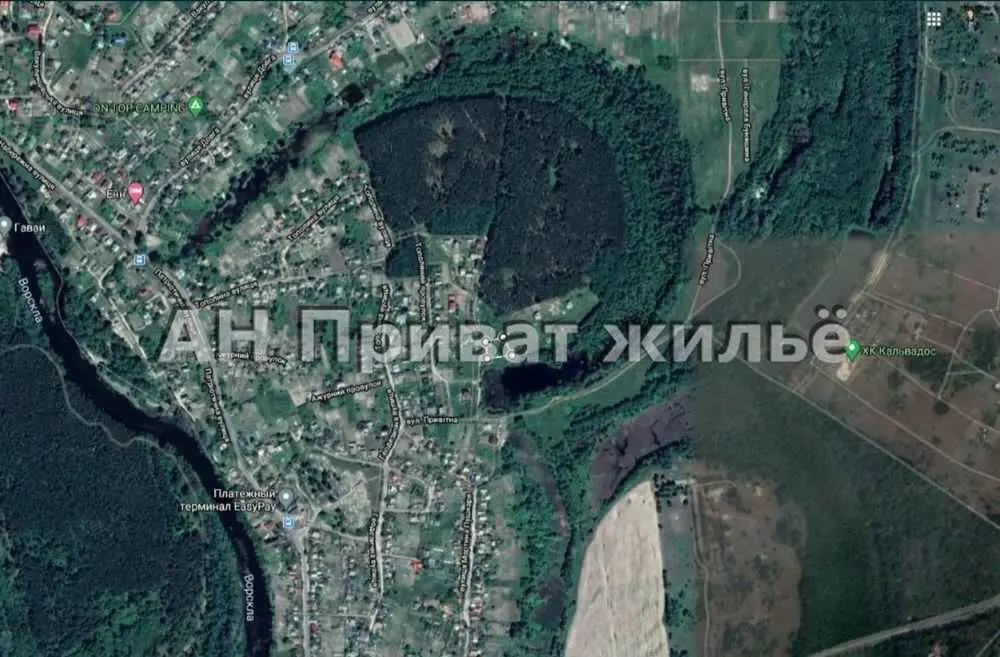 Ділянка з видом на сосновий ліс, Вакуленці