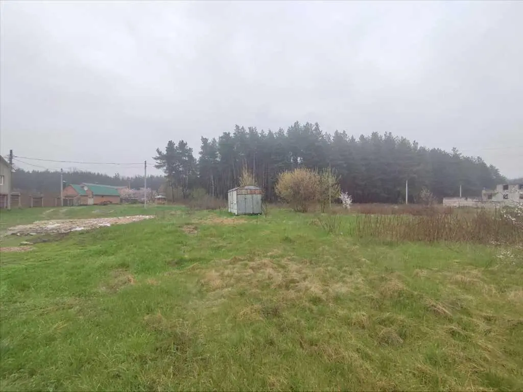 Ділянка з видом на сосновий ліс, Вакуленці